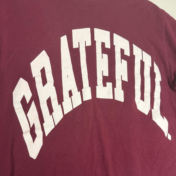 Grateful Made in USA Mens Graphic tshirt Bundle - Picture 3 of 4